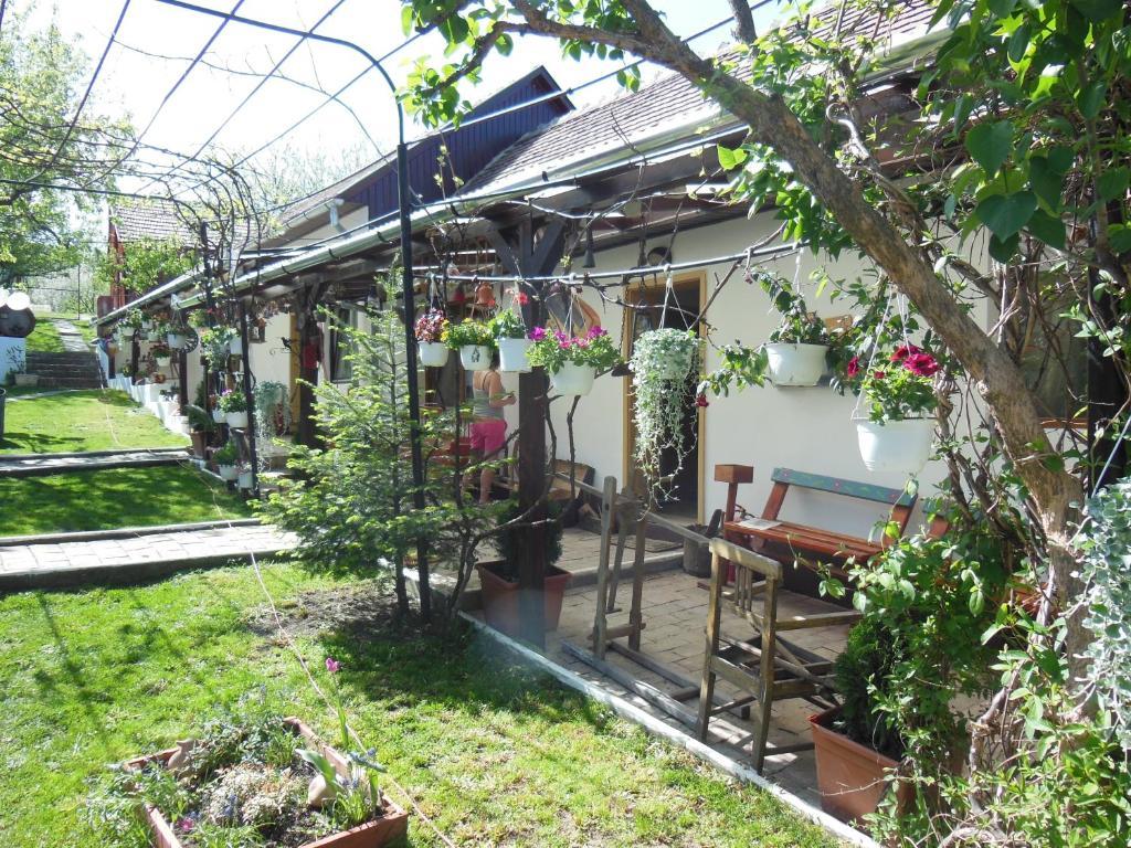 Pension Bassen Bazna Dış mekan fotoğraf