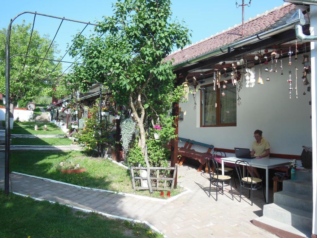 Pension Bassen Bazna Dış mekan fotoğraf