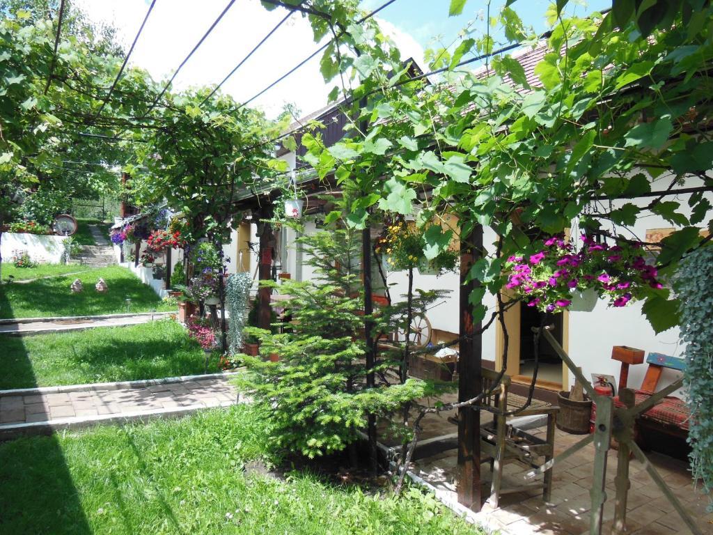 Pension Bassen Bazna Dış mekan fotoğraf
