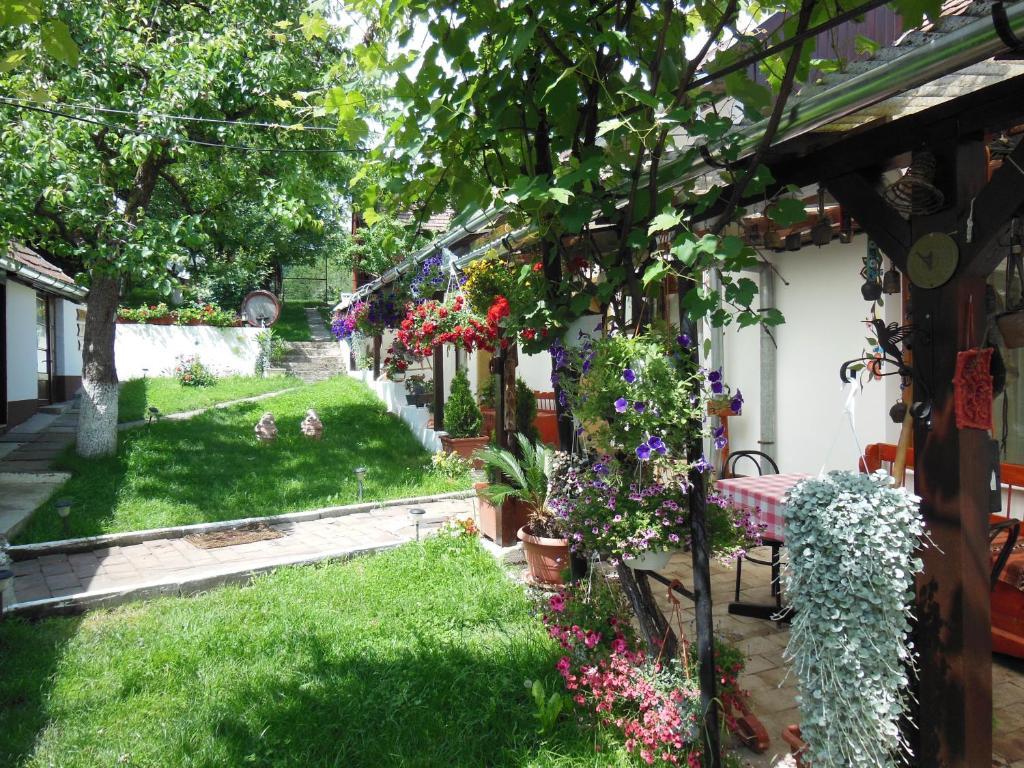 Pension Bassen Bazna Dış mekan fotoğraf