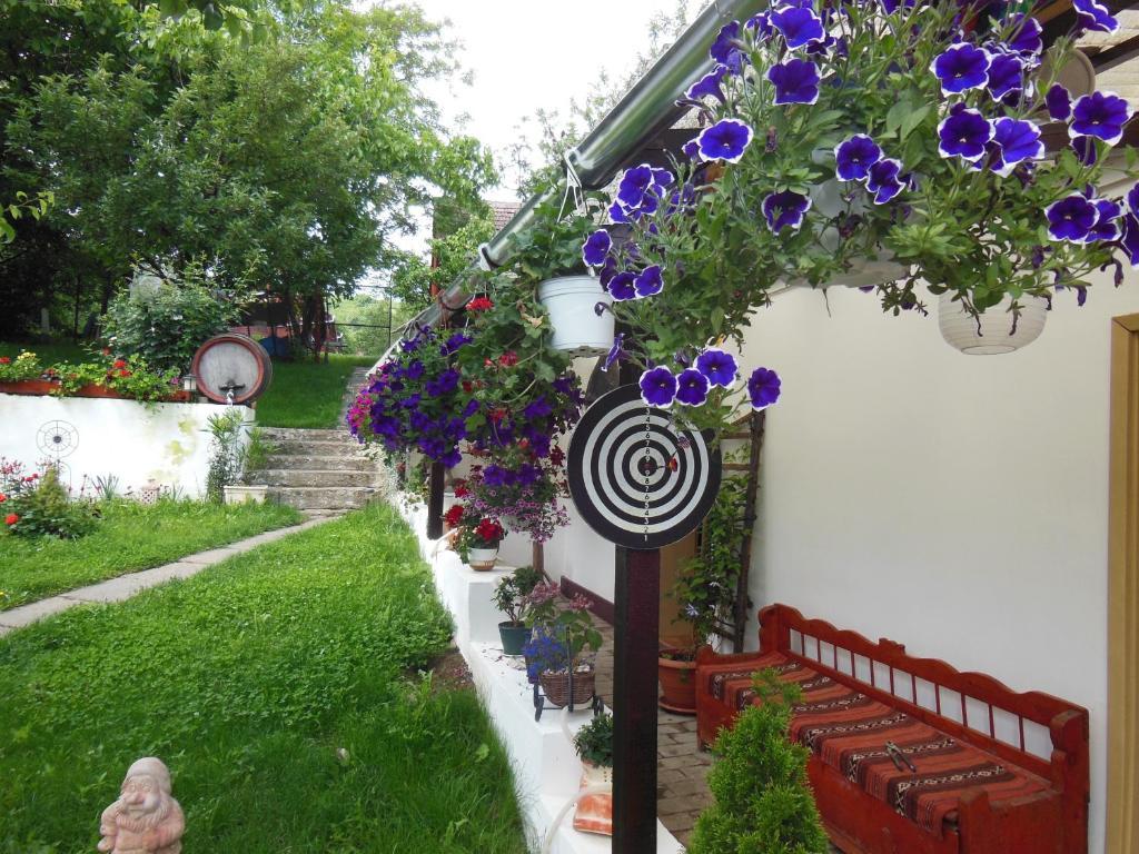 Pension Bassen Bazna Dış mekan fotoğraf