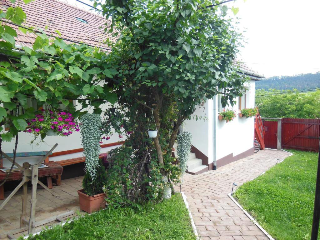 Pension Bassen Bazna Dış mekan fotoğraf