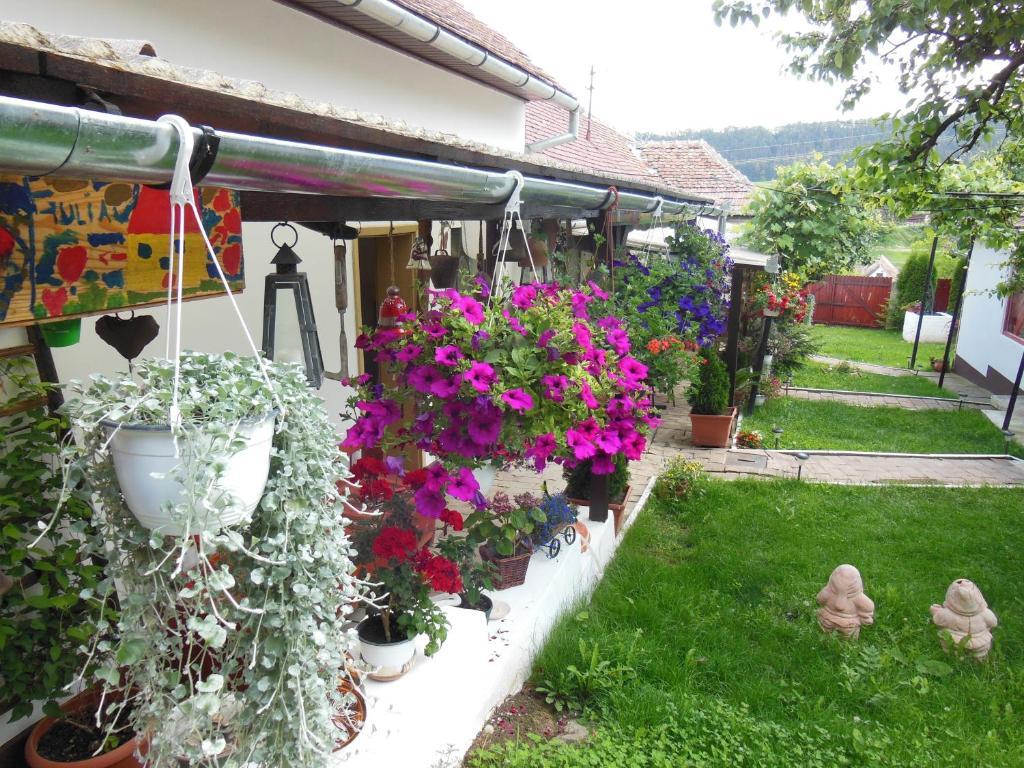 Pension Bassen Bazna Dış mekan fotoğraf