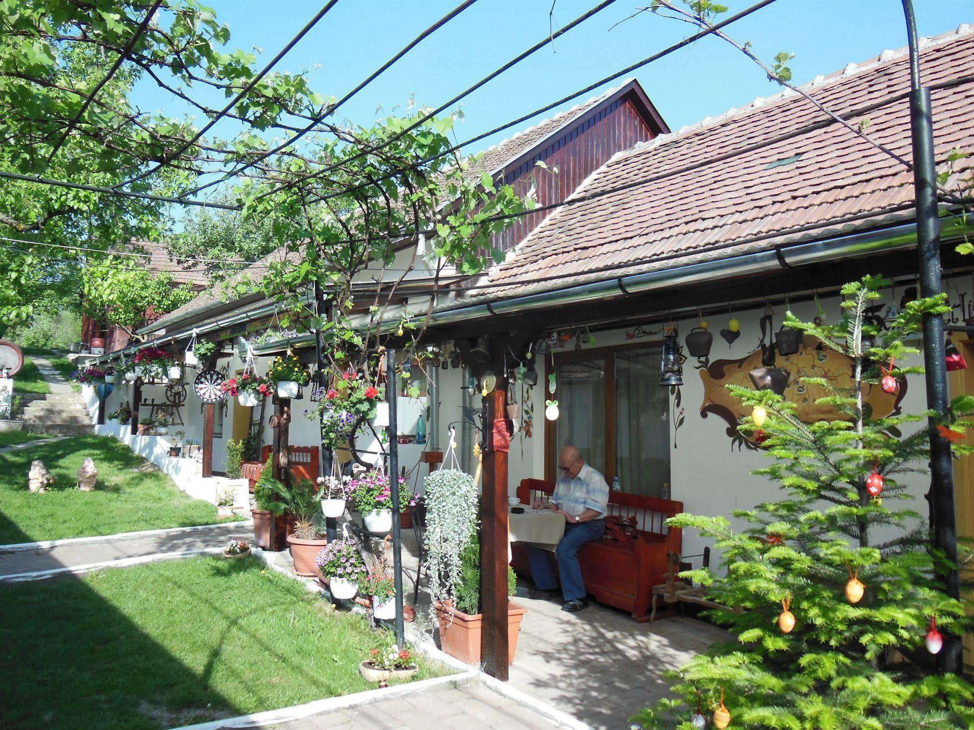 Pension Bassen Bazna Dış mekan fotoğraf